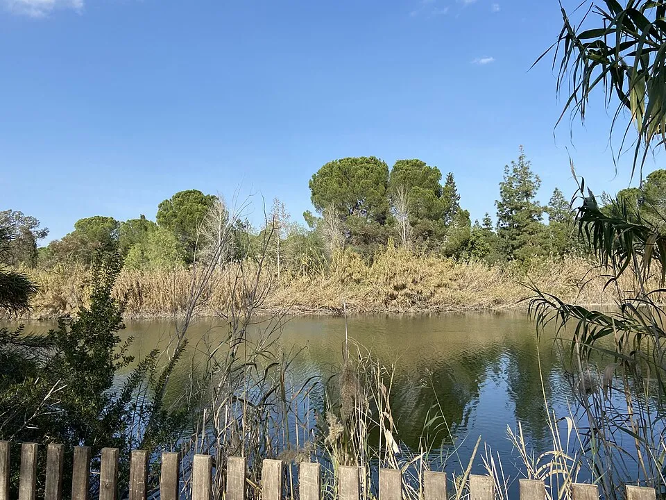 Athalassa National Forest Park