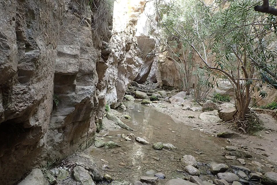 Avakas Gorge