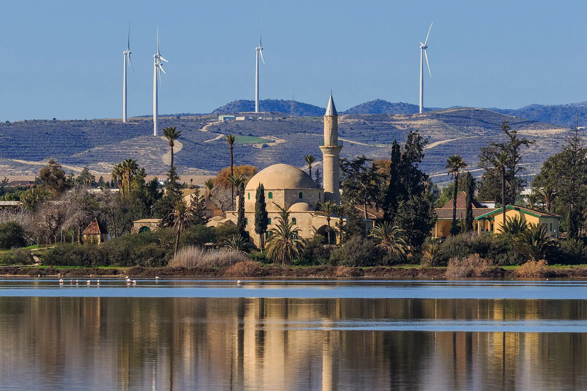 Larnaca